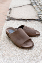 Upload the image to the Gallery viewer, BANDY
