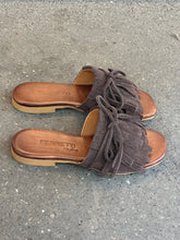 Upload the image to the Gallery viewer, FEDORA
