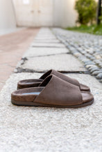 Upload the image to the Gallery viewer, BANDY
