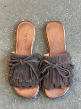 Upload the image to the Gallery viewer, FEDORA
