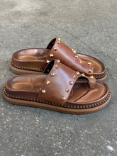 Upload the image to the Gallery viewer, ATENA
